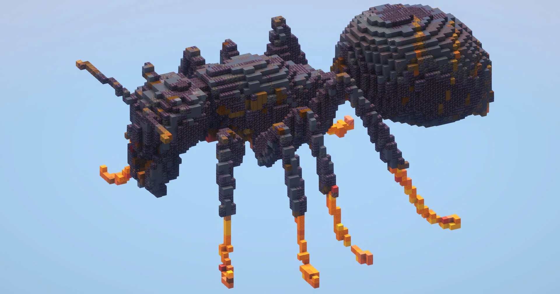 Ant
