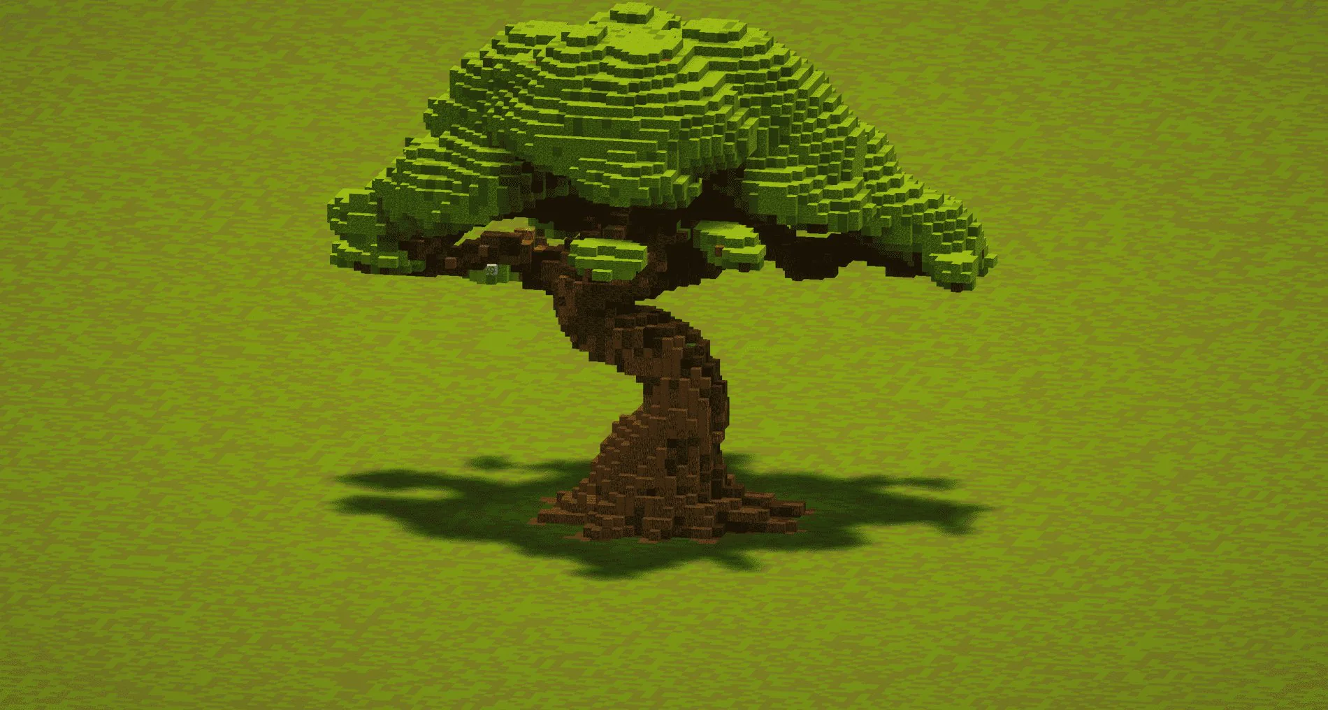 Big Oak Tree