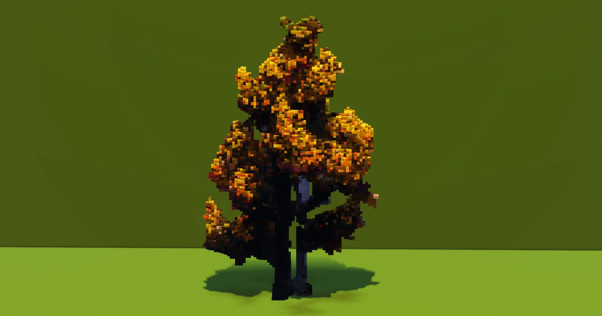 Birch Tree