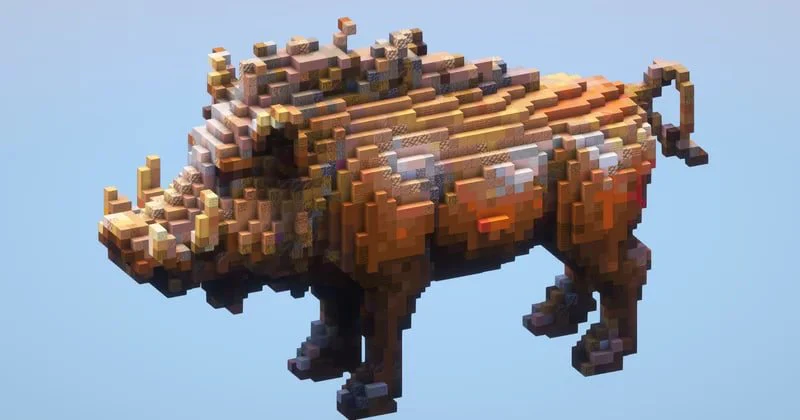 Boar