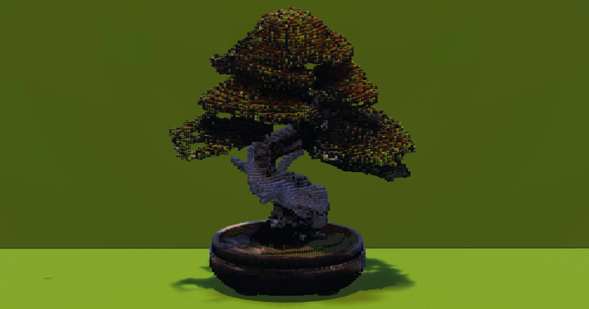 Bonsai Tree
