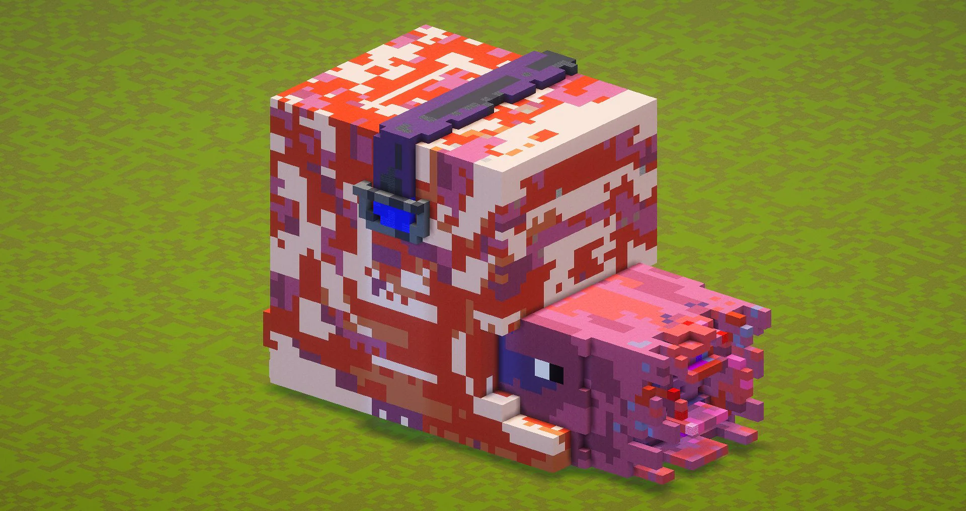Nautilus