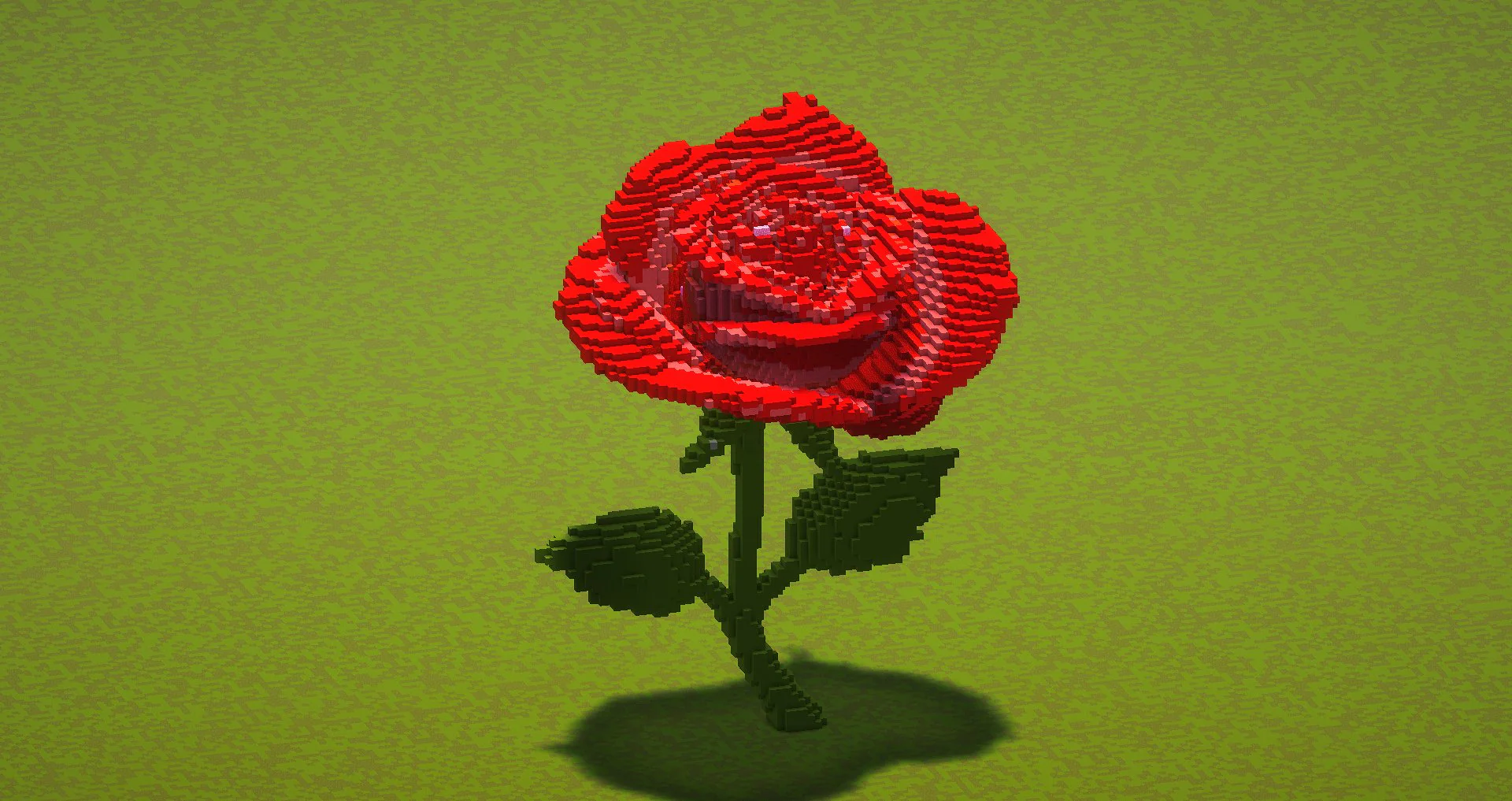 Red Rose