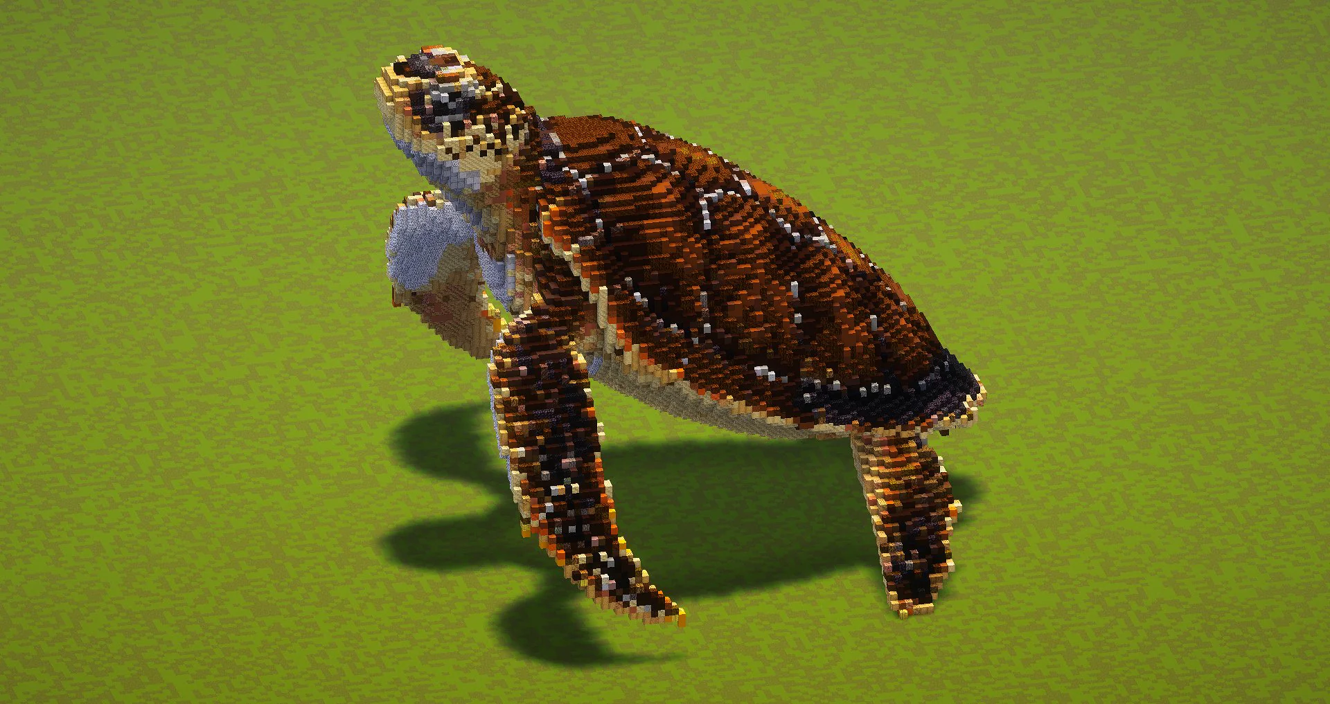 Sea Turtle