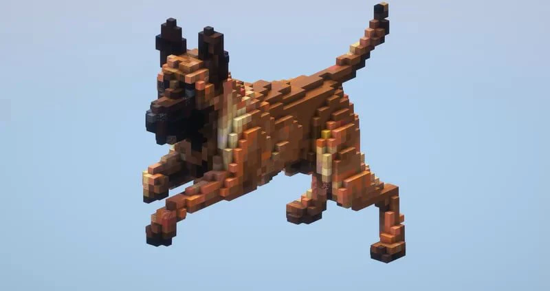 Shepherd Dog