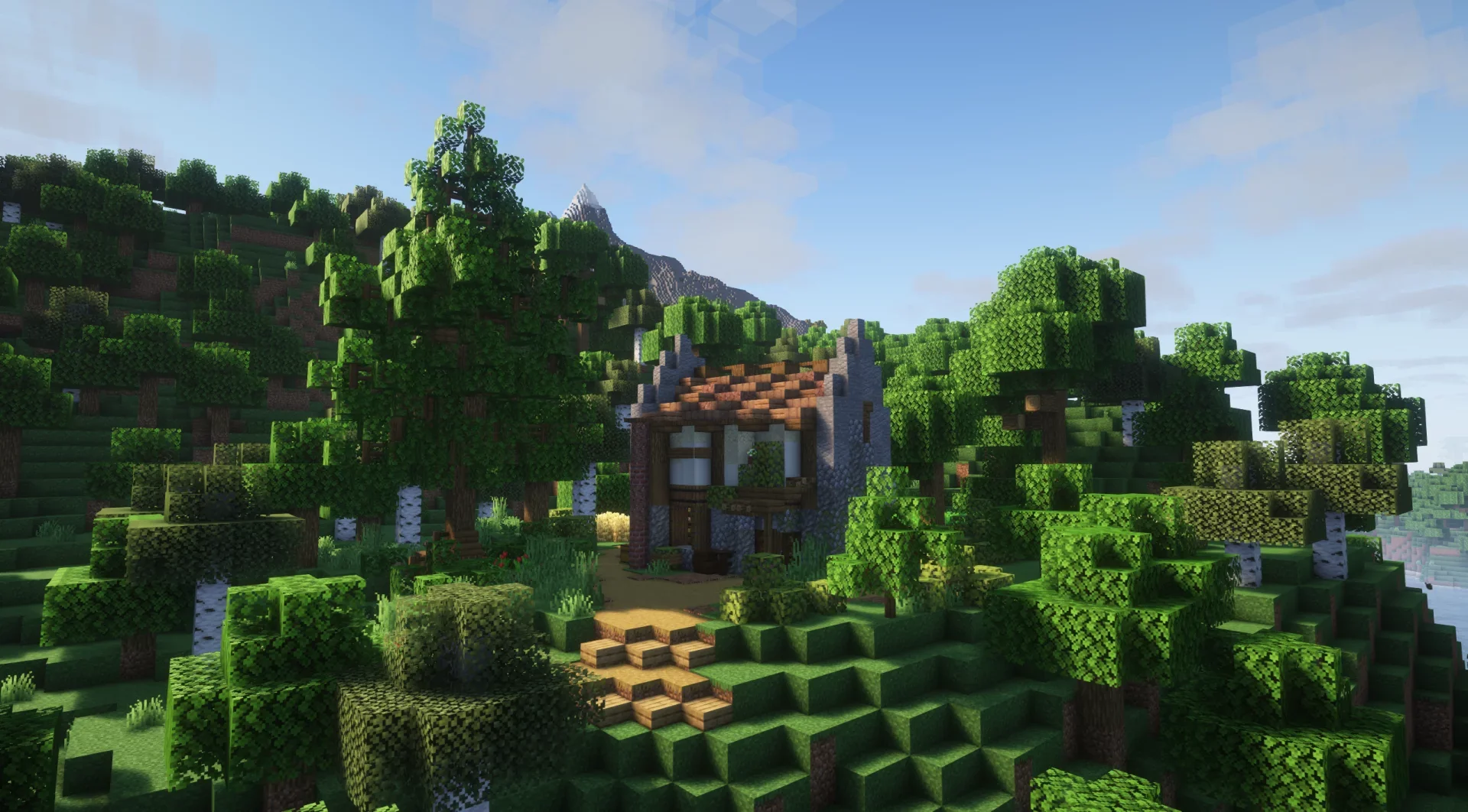 Small Diagonal Starter Home - Image 18
