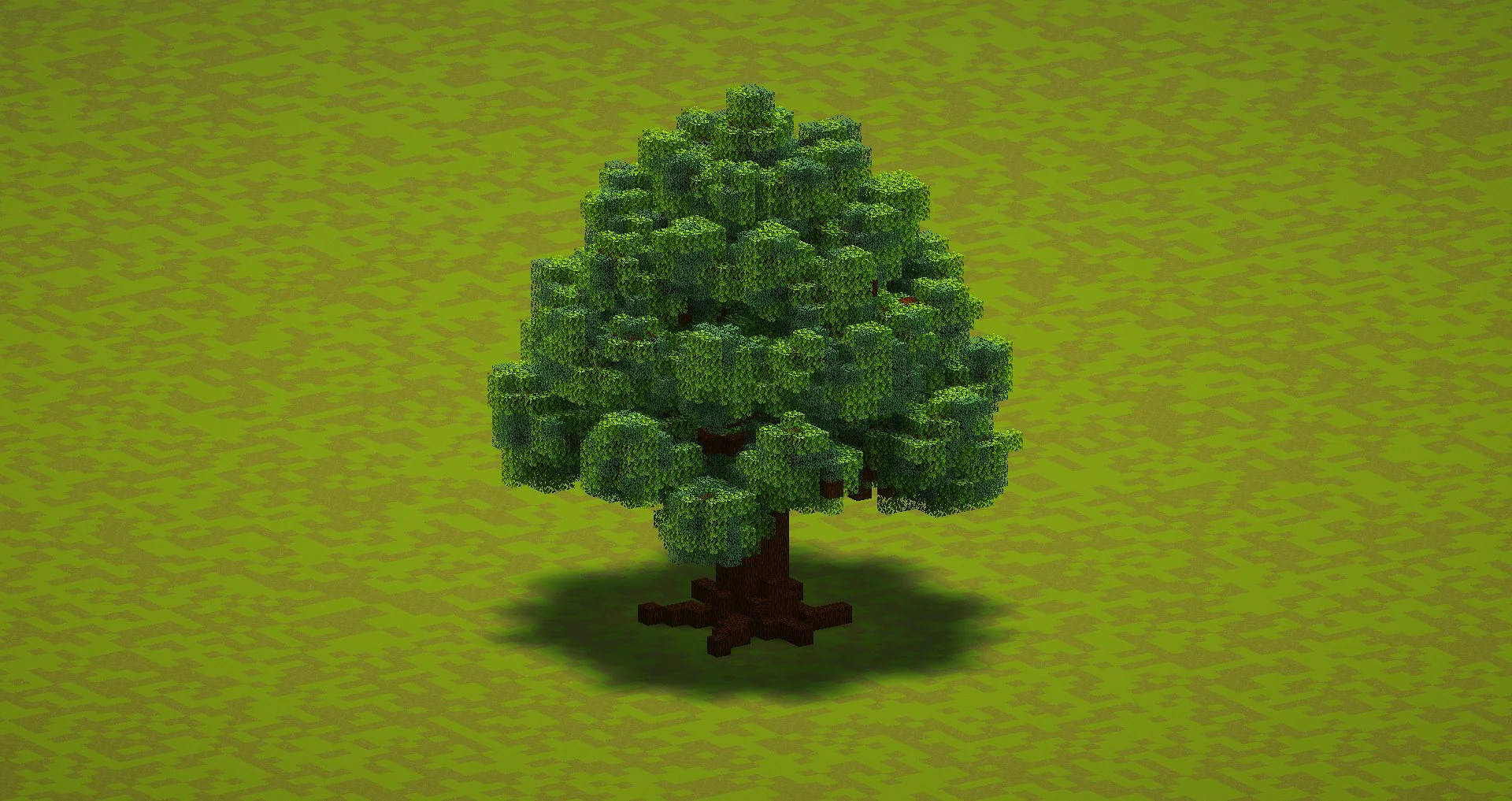 Small Pine Tree