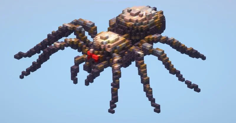 Spider Small