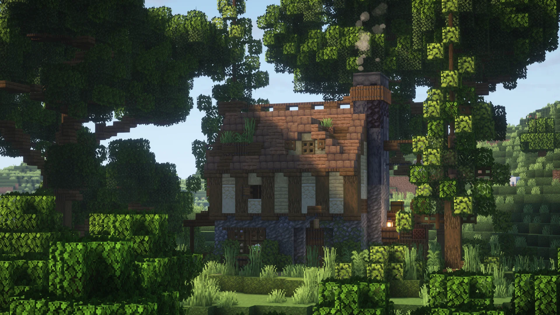 Starter Home