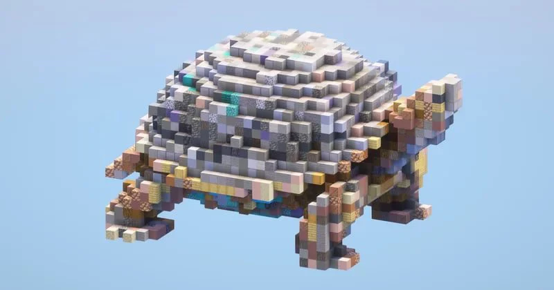 Tortoise Small
